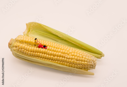 Minature people gardening; mow corn