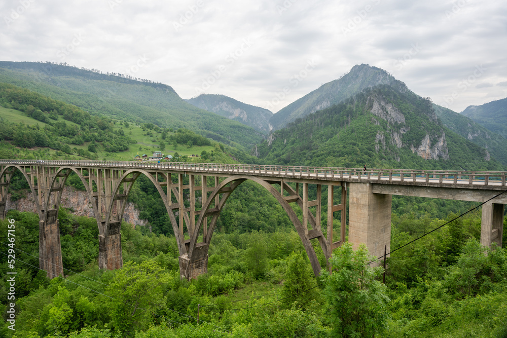 High bridge Montenegro, Mala Rijeka Viaduct High bridge Montenegro, Mala Rijeka Viaduct