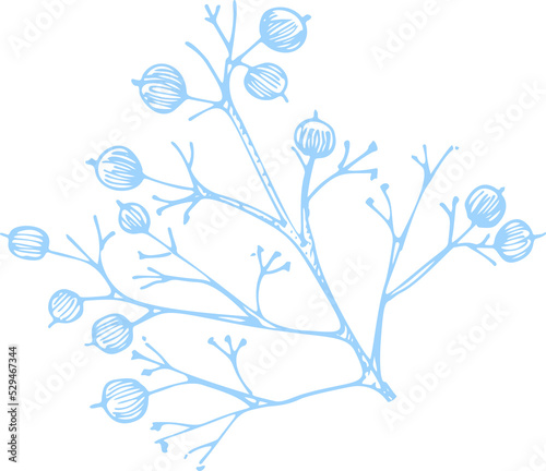 Winter twigs  berries  and leaves of plant isolated on white background. Christmas theme Hand-drawn vintage sketch botanical illustration. Engraving style. Flat color illustration