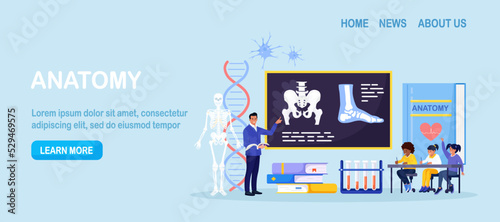 Anatomy school subject. Pupils studying human skeleton, bones. Teacher pointing at chalkboard, teaching kids. Students at desks learn body nervous, muscle, blood systems. Biology classes, medicine