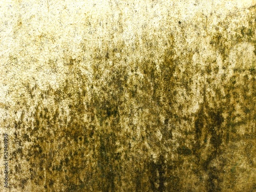 texture of the wall