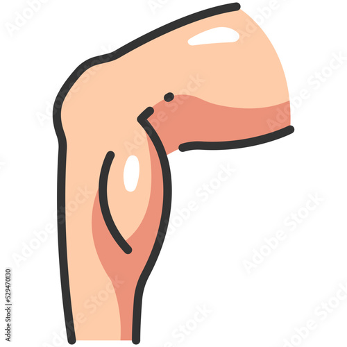 leg muscle line color icon