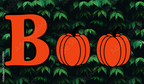 Halloween Graphic Resource.  The word BOO with the letter O being a pumpkin