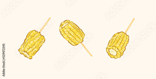 BBQ raw sweet corn with wooden stick in vector flat illustration art design