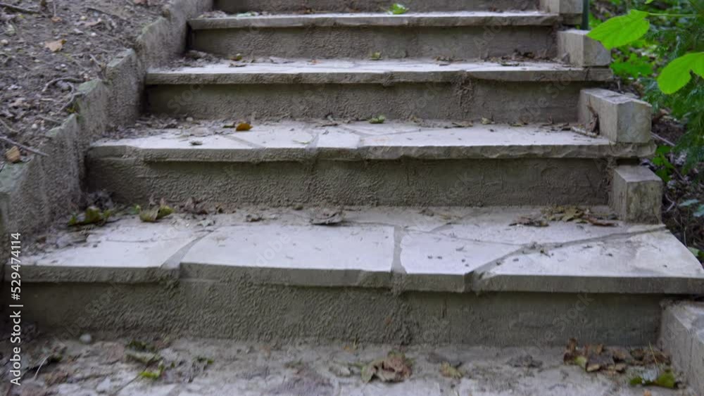 Climbing up a stone stairs in a Forest