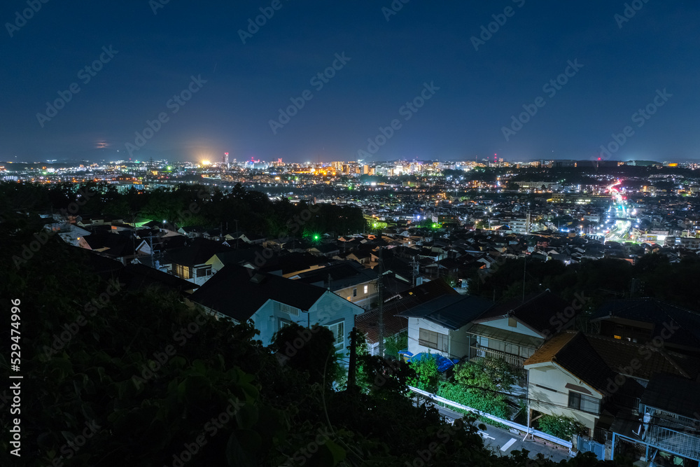 Fototapeta premium 東京都日野市 みはらし公園からの夜景