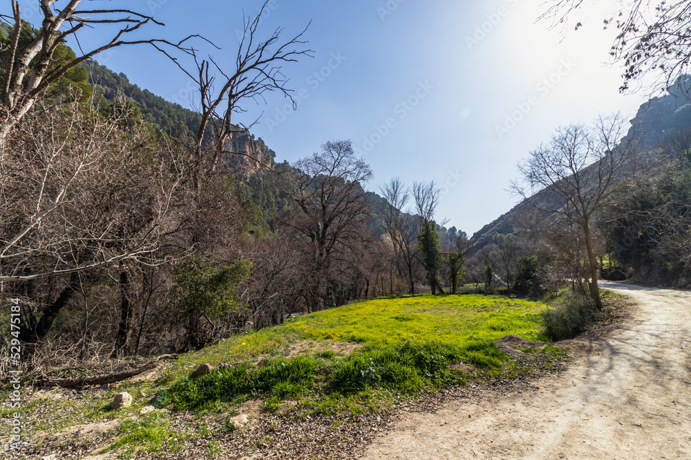 Rocky mountain slope covered with lush vegetation Rocky mountain slope covered with lush vegetation