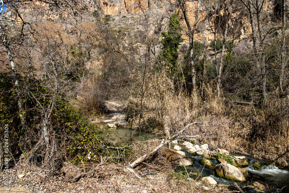 Rocky mountain slope covered with lush vegetation Rocky mountain slope covered with lush vegetation