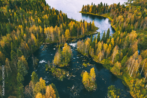 Aerial view of fast blue river in beautiful fall autumn forest.