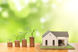 Coin stack with tree growth and house model on nature green background sun lighting from corner on wood table plate