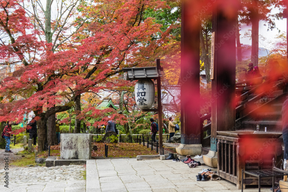 京都の秋