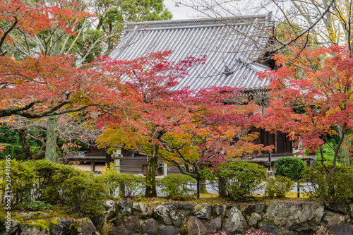 京都の秋