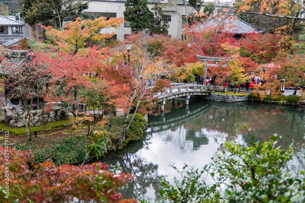 京都の秋