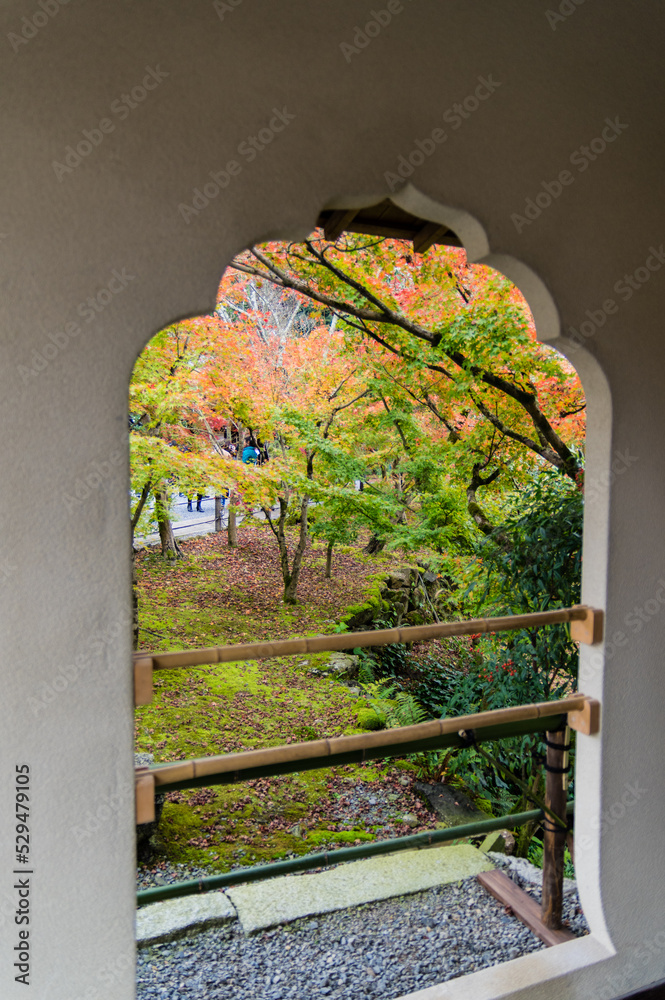 京都の秋