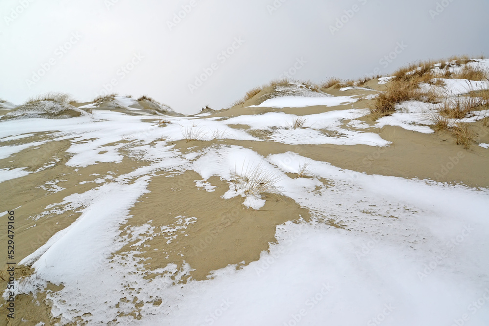KALININGRAD REGION, RUSSIA - MARCH 07, 2018: Sand dunes on a winter day. Curonian spit KALININGRAD REGION, RUSSIA - MARCH 07, 2018: Sand dunes on a winter day. Curonian spit