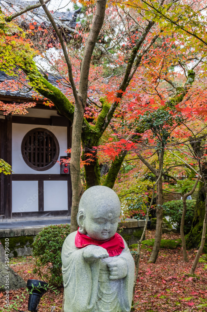 京都の秋