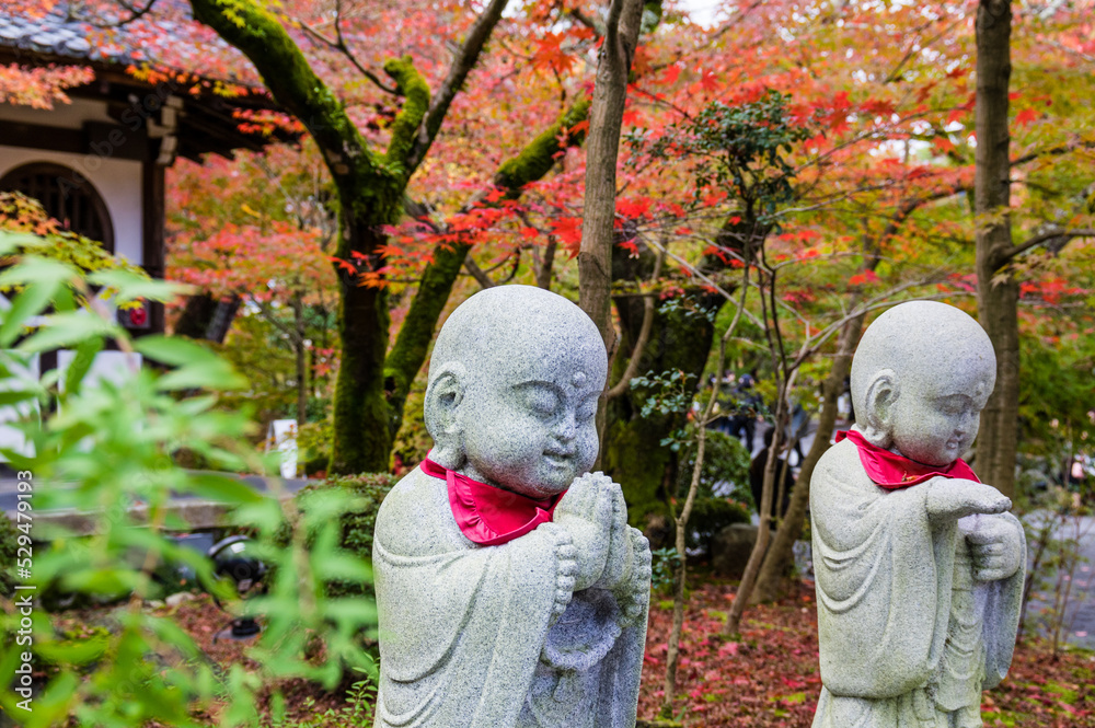 京都の秋