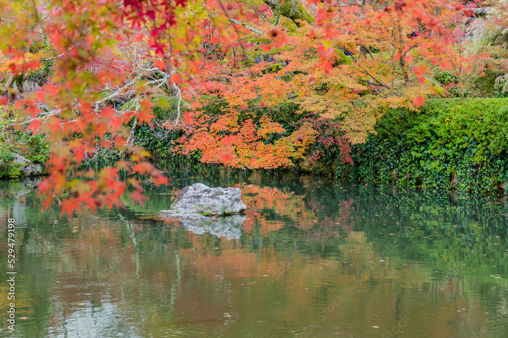 京都の秋