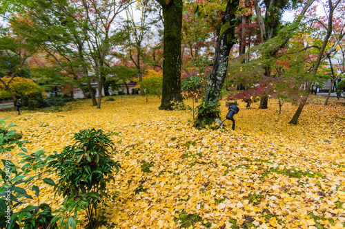 京都の秋