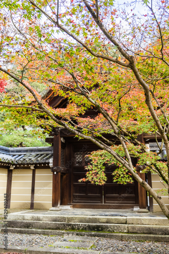 京都の秋