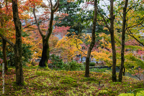 京都の秋 © 弘文 杉尾