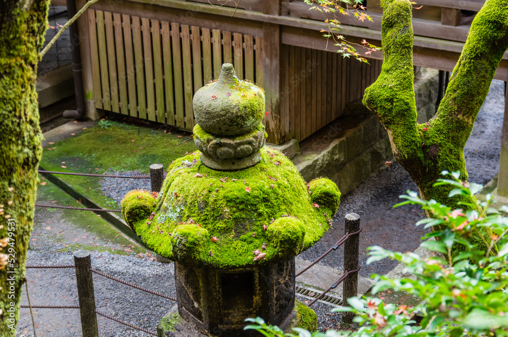 京都の秋