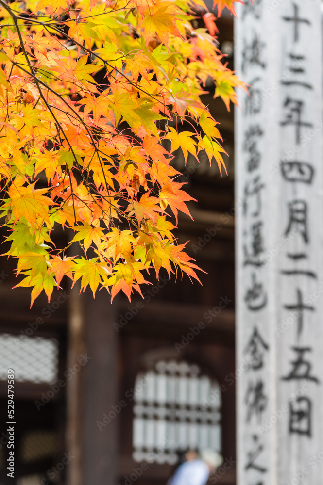 京都の秋