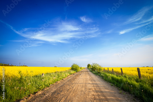 Photo shows a beautiful blue sky with clouds over rape field. Landscape  Poland  Europe