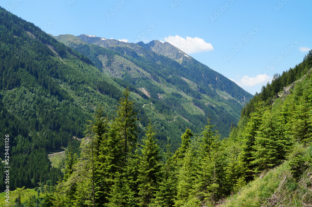 Fototapeta premium the picturesque lush green Austrian Alps of the Schladming-Dachstein region (Styria or Steiermark, in Austria)