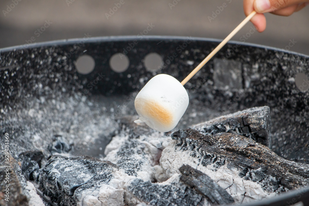 Obraz premium 焼きマシュマロ