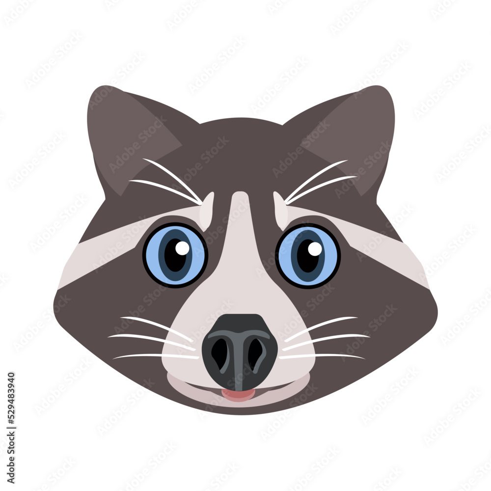 Charming animal face of a raccoon with blue eyes isolated on a white background.Vector illustration of the portrait of an animal can be used in textiles, postcards.