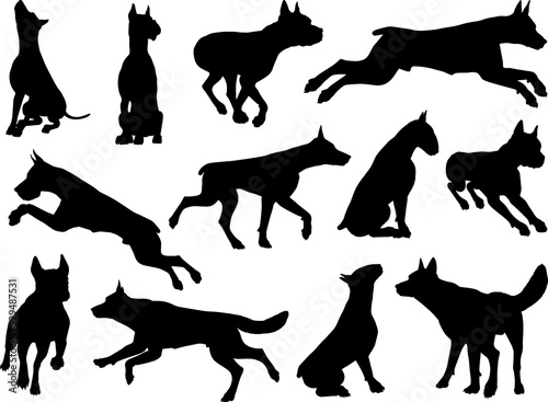 Leinwand Poster Dog Silhouettes Animal Set