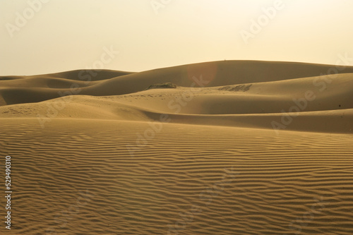  Scenic view of Jaisalmer desert in India. 