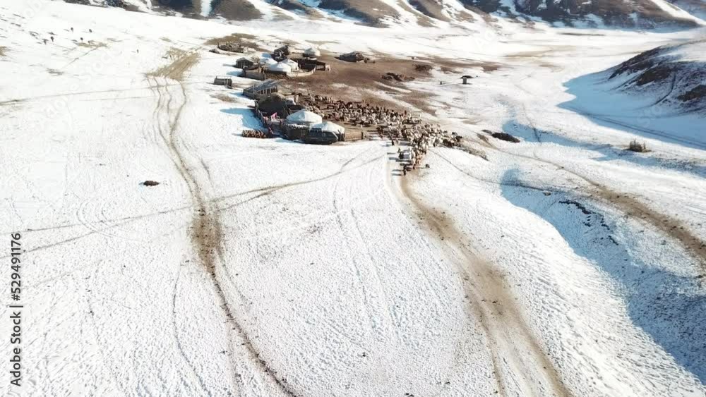 Village en Mongolie dans les montagne avec des agriculteurs, yourtes, mouton et chevaux.