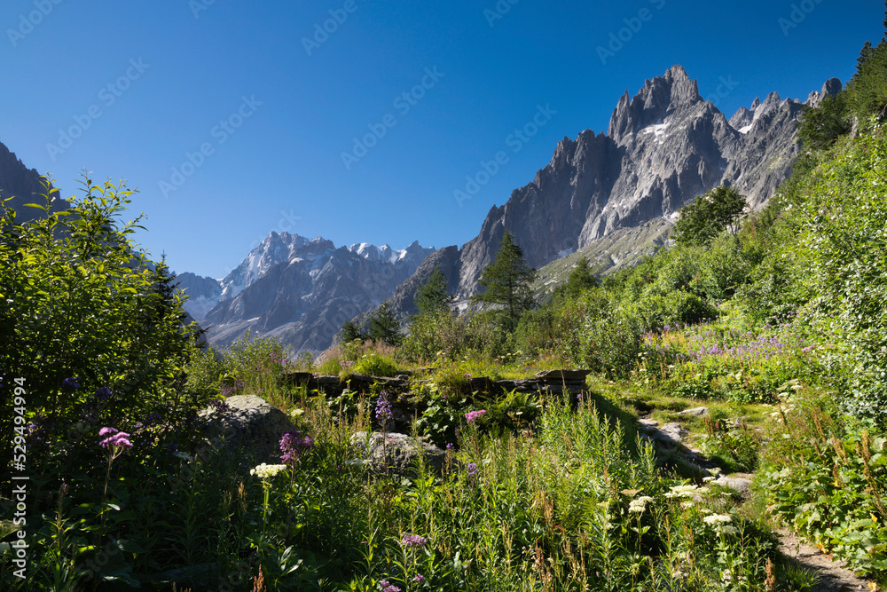 Aiguille du Grépon tower and Grand Jorasses massif from descend to Mer de Glace glacier.