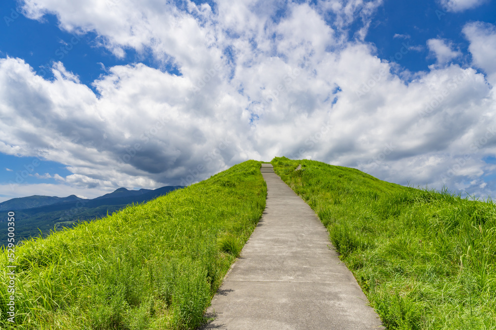 Obraz premium 静岡県伊東市 夏の大室山