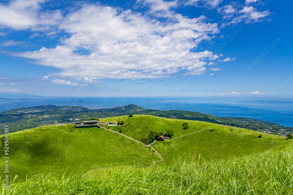 Obraz premium 静岡県伊東市 夏の大室山
