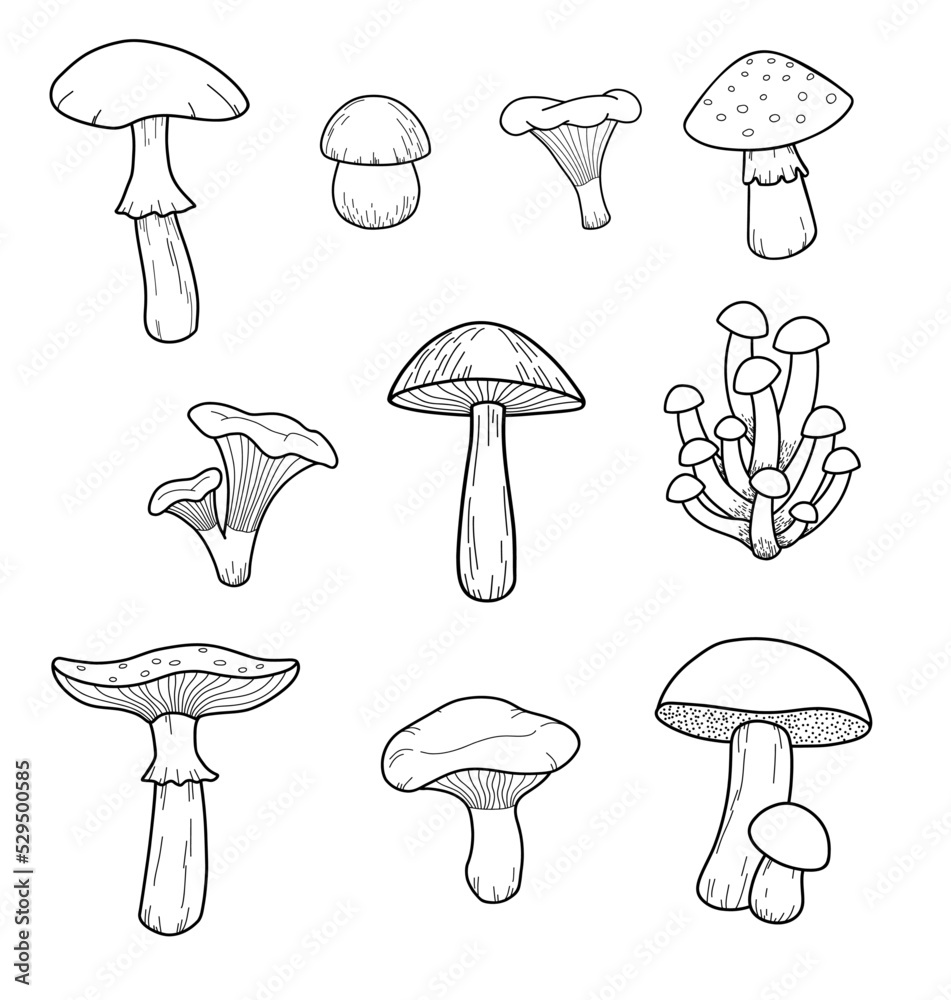 Hand-drawn stylized mushrooms. Black and white image on white background. Hand-drawn stylized mushrooms. Black and white image on white background.