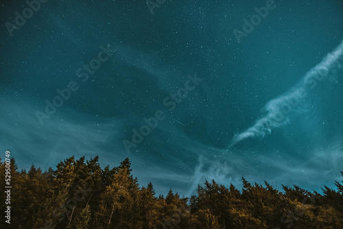 Stars over trees in the mountains © Karsten