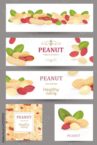 collection of banner with pile of groundnuts with leaves on white background. seamless border with heap of dry unpeeled peanuts, peeled kernel groundnut and peanut seed in half of shell