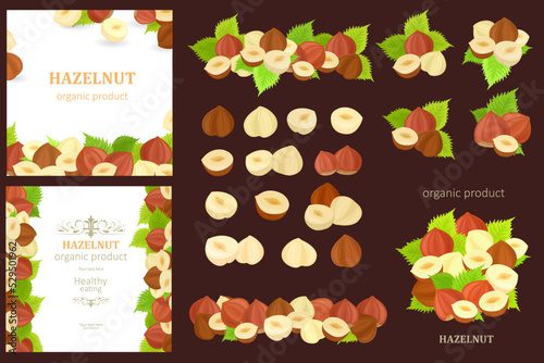 collection of borders with hazelnuts. nutty set of whole, half,