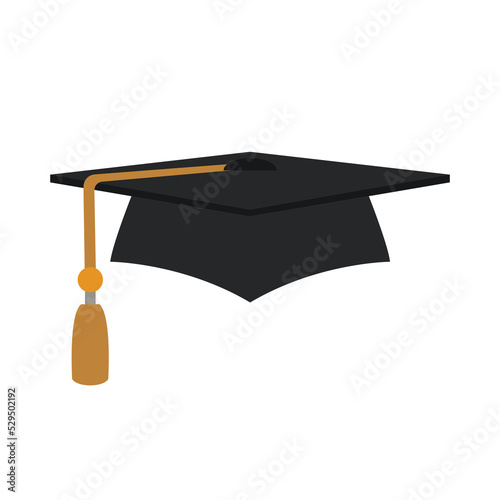 University cap hat graduation vector