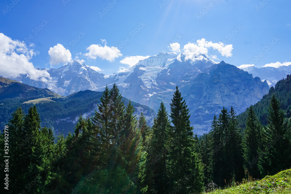 Fototapeta premium Alpine landscape, a famous valley in Switzerland. Lauterbrunnen valley 72 waterfalls, the place that was inspired by Tolkien 