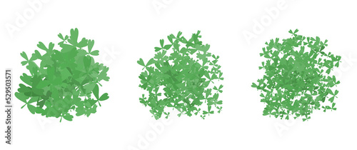 Isolated bush foliage  leaves foliage  isolated bush vector elements  perfect for elements  design assets  graphical resources