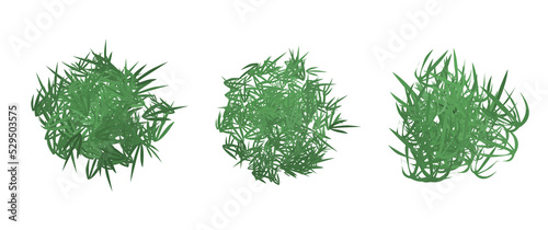 Isolated bush foliage, leaves foliage, isolated bush vector elements, perfect for elements, design assets, graphical resources