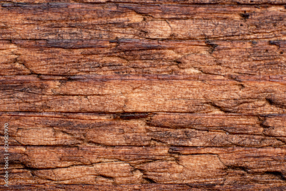 Texture of old wood close-up. Can be used as a background.