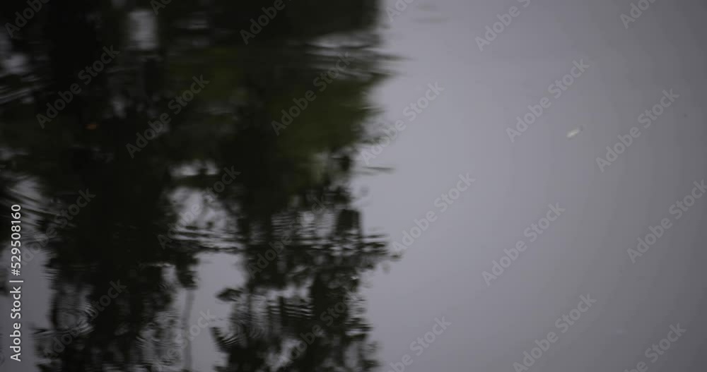 A slow motion of puddle at the pond rainy day A slow motion of puddle at the pond rainy day