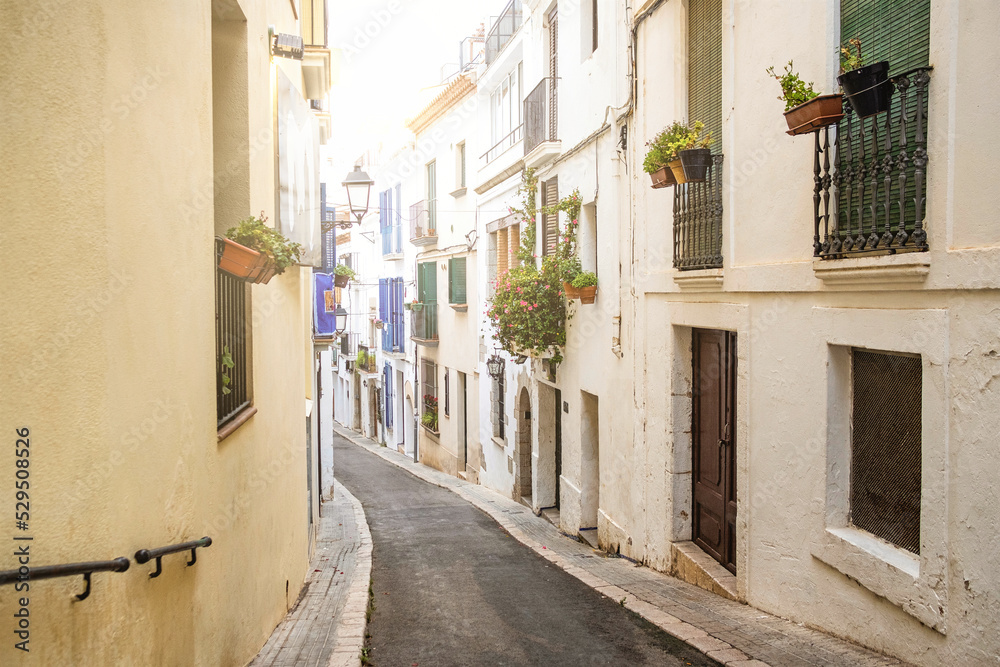 Fototapeta premium view of small street with white houses and flowers in the traditional spanish town of Sitges in the Catalonia region
