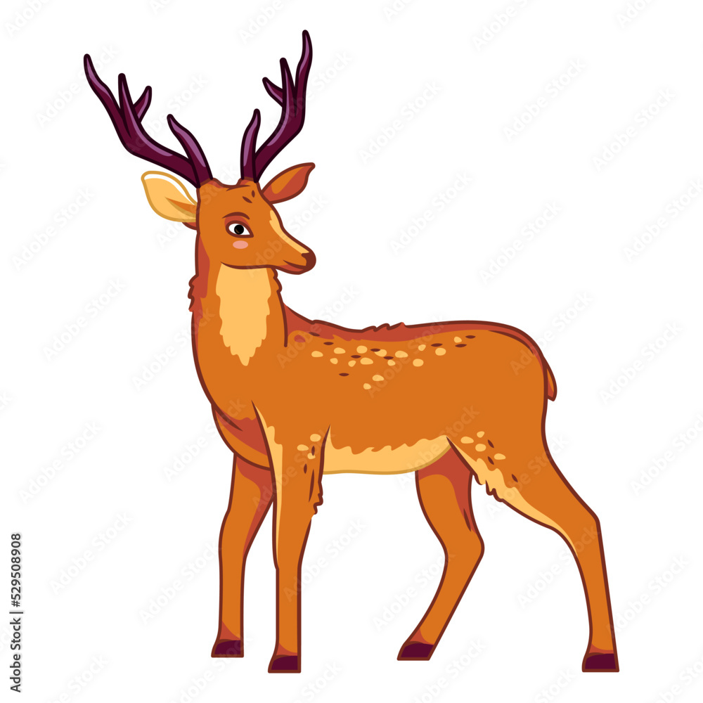 A cute deer stands on a white background. Vector illustration with cute forest animals A cute deer stands on a white background. Vector illustration with cute forest animals