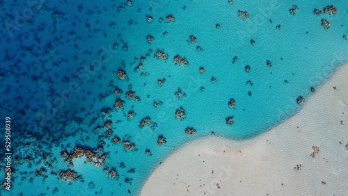 Tela Aerial view of the ocean , Tuamotus, French Polynesia
